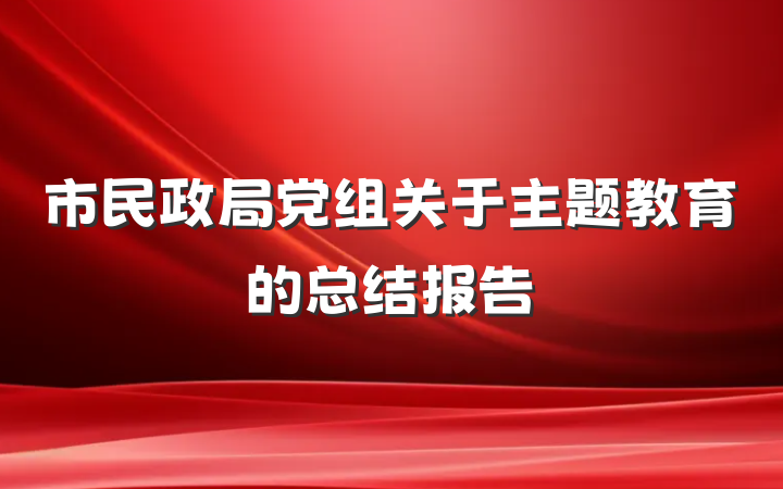 市民政局党组关于主题教育的总结报告