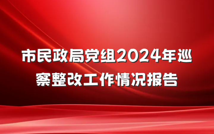 市民政局党组2024年巡察整改工作情况报告