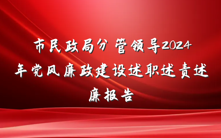 市民政局分管领导2024年党风廉政建设述职述责述廉报告
