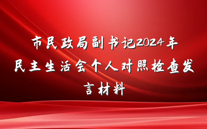 市民政局副书记2024年民主生活会个人对照检查发言材料