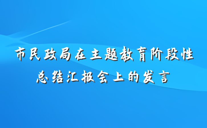 市民政局在主题教育阶段性总结汇报会上的发言