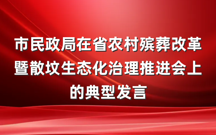 市民政局在省农村殡葬改革暨散坟生态化治理推进会上的典型发言