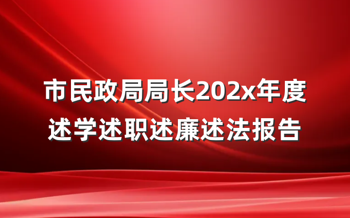 市民政局局长202x年度述学述职述廉述法报告