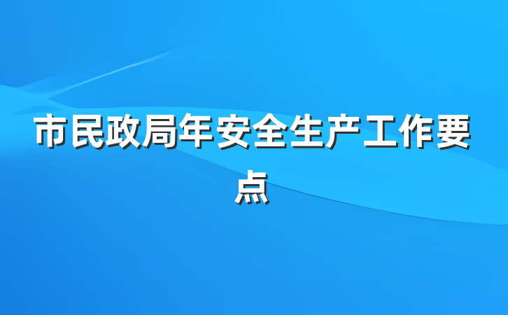 市民政局年安全生产工作要点
