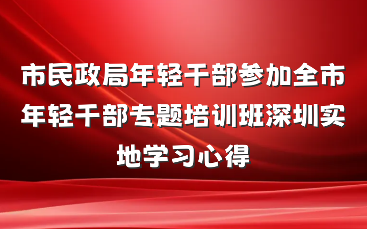 市民政局年轻干部参加全市年轻干部专题培训班深圳实地学习心得