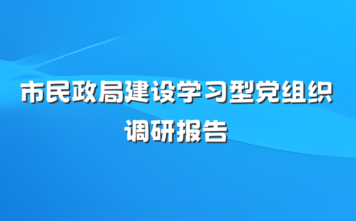 市民政局建设学习型党组织调研报告