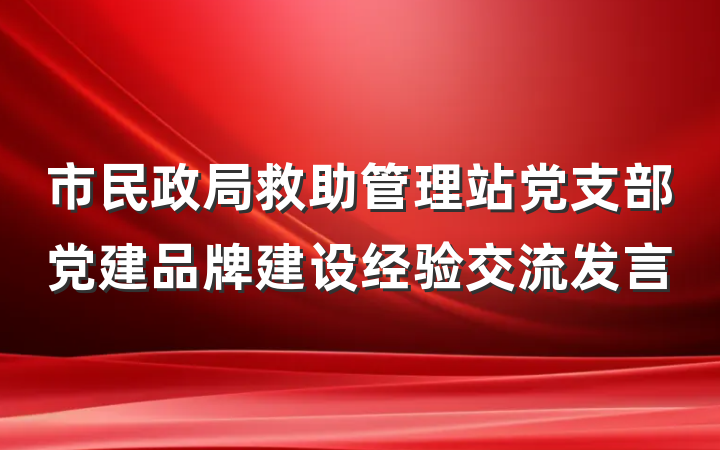 市民政局救助管理站党支部党建品牌建设经验交流发言