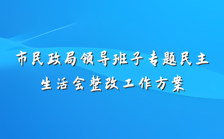 市民政局领导班子专题民主生活会整改工作方案