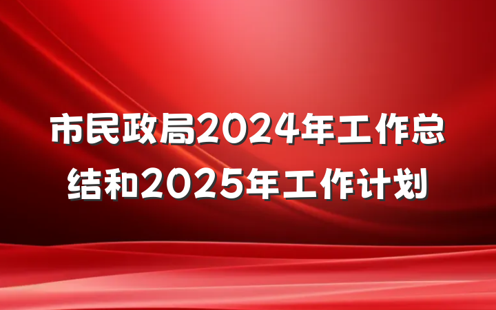 市民政局2024年工作总结和2025年工作计划