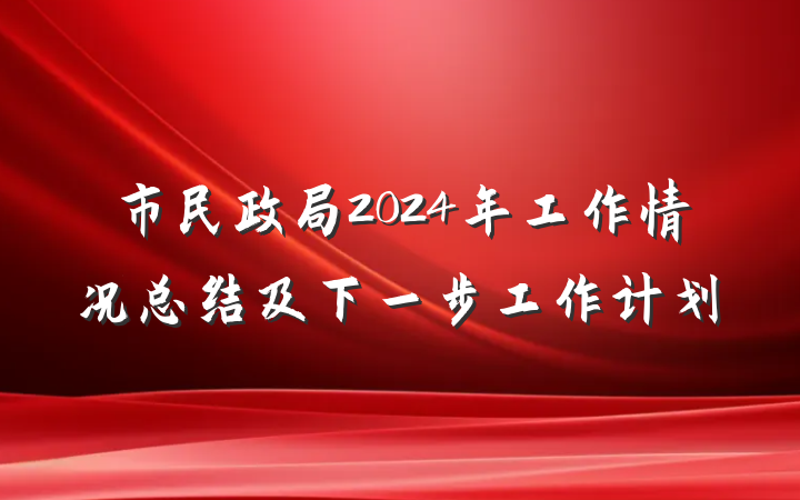 市民政局2024年工作情况总结及下一步工作计划
