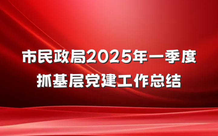 市民政局2025年一季度抓基层党建工作总结