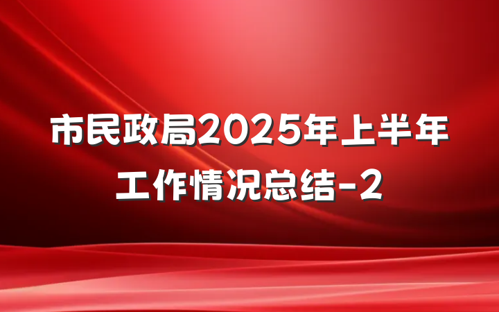 市民政局2025年上半年工作情况总结-2