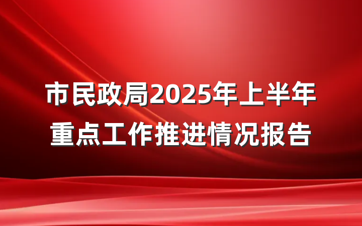 市民政局2025年上半年重点工作推进情况报告