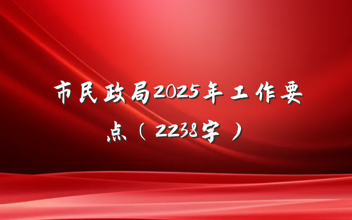 市民政局2025年工作要点（2238字）