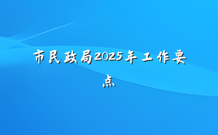 市民政局2025年工作要点