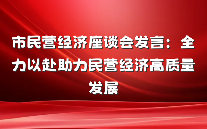 市民营经济座谈会发言：全力以赴助力民营经济高质量发展
