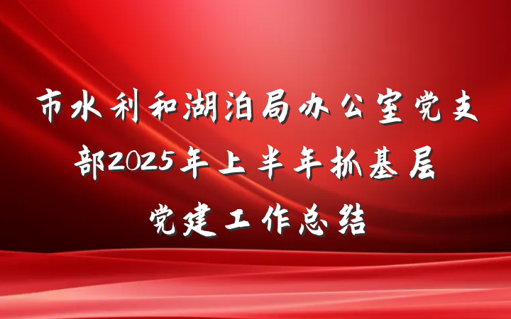 市水利和湖泊局办公室党支部2025年上半年抓基层党建工作总结