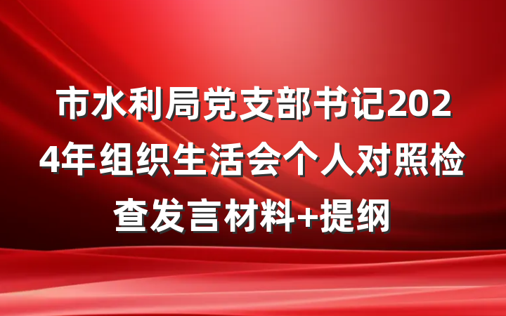 市水利局党支部书记2024年组织生活会个人对照检查发言材料 提纲