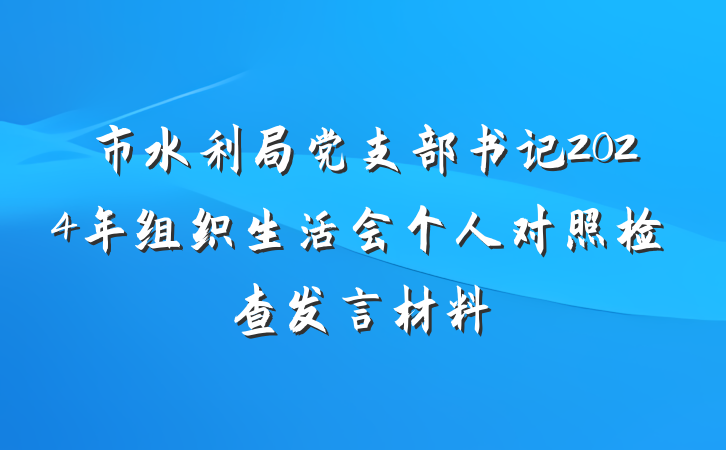市水利局党支部书记2024年组织生活会个人对照检查发言材料