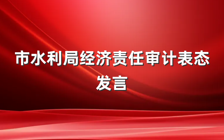 市水利局经济责任审计表态发言