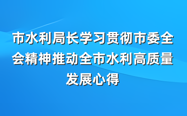 市水利局长学习贯彻市委全会精神推动全市水利高质量发展心得