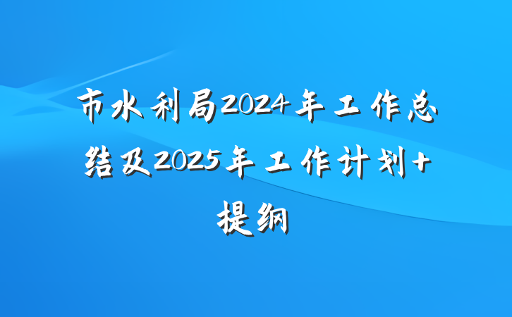 市水利局2024年工作总结及2025年工作计划 提纲