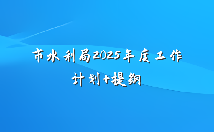 市水利局2025年度工作计划 提纲