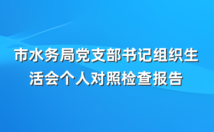 市水务局党支部书记组织生活会个人对照检查报告