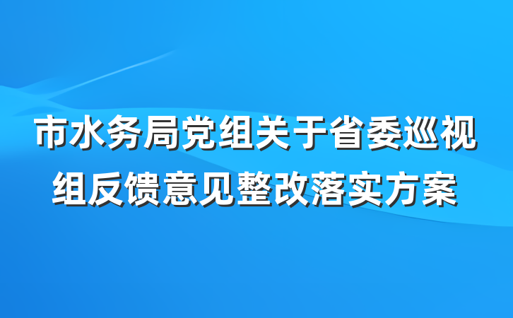 市水务局党组关于省委巡视组反馈意见整改落实方案