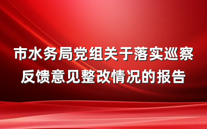 市水务局党组关于落实巡察反馈意见整改情况的报告