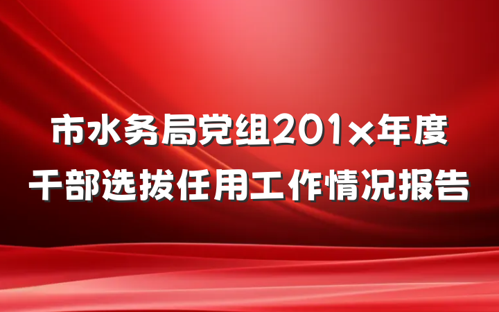 市水务局党组201x年度干部选拔任用工作情况报告