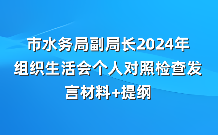 市水务局副局长2024年组织生活会个人对照检查发言材料 提纲
