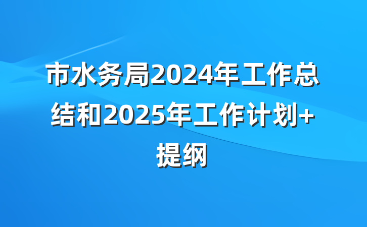 市水务局2024年工作总结和2025年工作计划 提纲