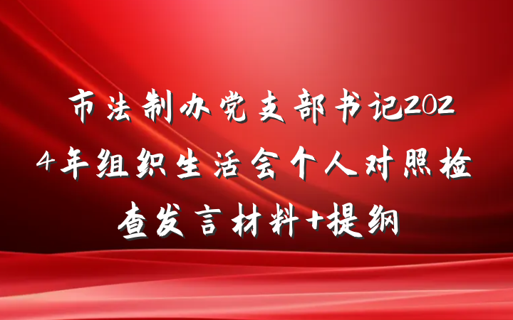 市法制办党支部书记2024年组织生活会个人对照检查发言材料 提纲
