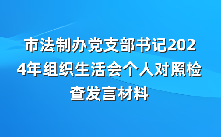 市法制办党支部书记2024年组织生活会个人对照检查发言材料