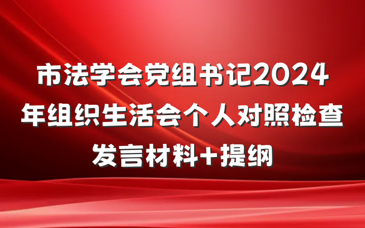 市法学会党组书记2024年组织生活会个人对照检查发言材料 提纲