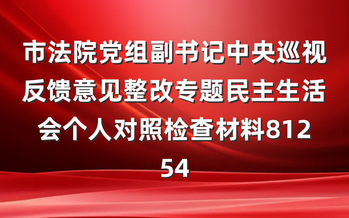 市法院党组副书记中央巡视反馈意见整改专题民主生活会个人对照检查材料81254