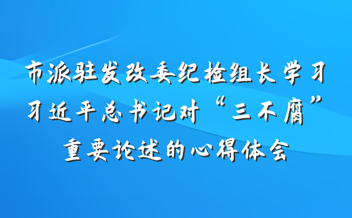 市派驻发改委纪检组长学习习近平总书记对“三不腐”重要论述的心得体会