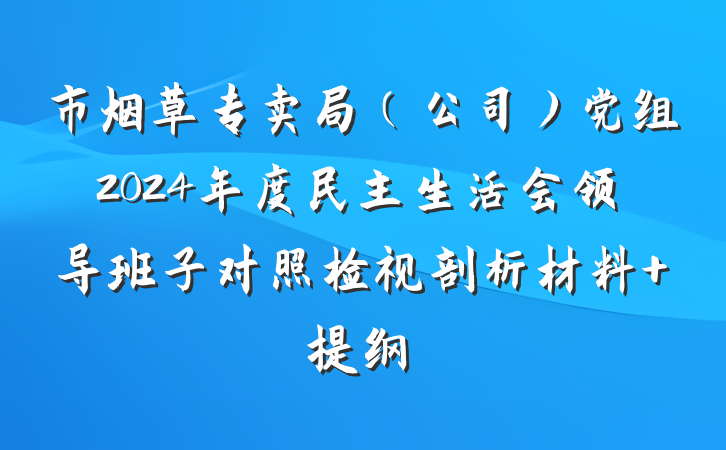 市烟草专卖局（公司）党组2024年度民主生活会领导班子对照检视剖析材料 提纲