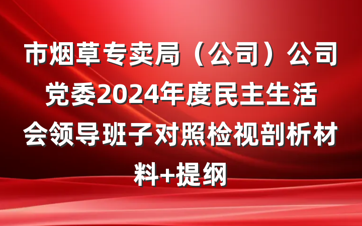 市烟草专卖局（公司）公司党委2024年度民主生活会领导班子对照检视剖析材料 提纲