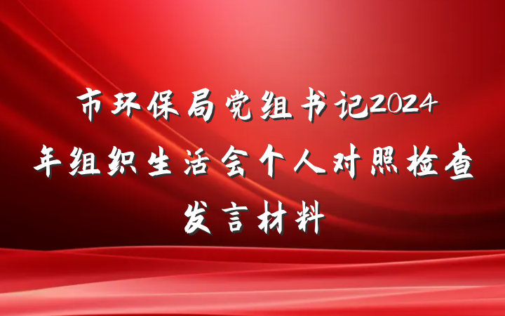 市环保局党组书记2024年组织生活会个人对照检查发言材料