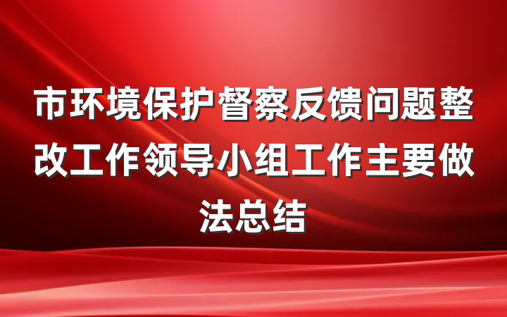 市环境保护督察反馈问题整改工作领导小组工作主要做法总结