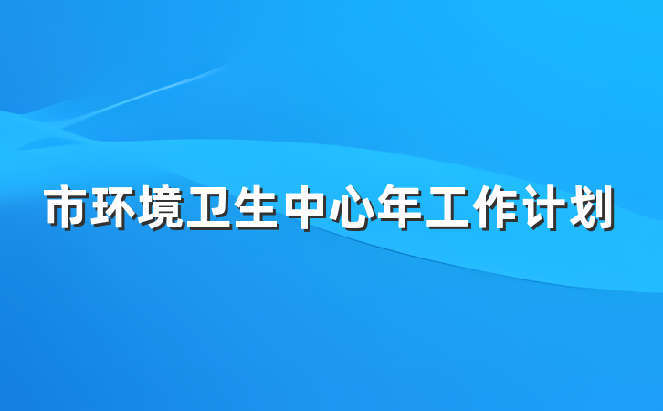 市环境卫生中心年工作计划