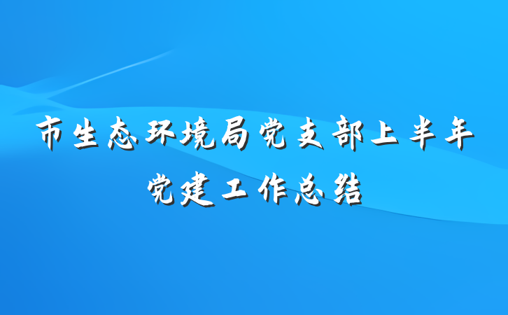 市生态环境局党支部上半年党建工作总结