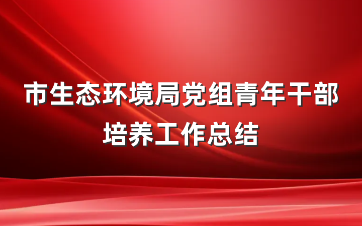 市生态环境局党组青年干部培养工作总结