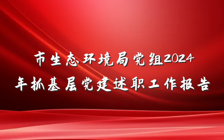 市生态环境局党组2024年抓基层党建述职工作报告