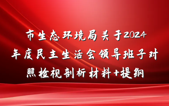 市生态环境局关于2024年度民主生活会领导班子对照检视剖析材料 提纲
