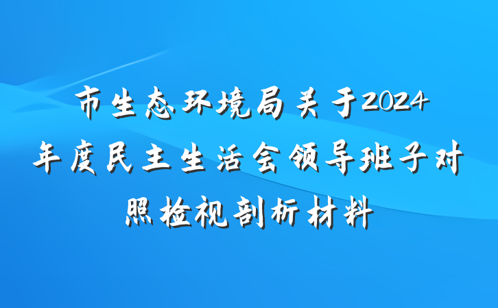 市生态环境局关于2024年度民主生活会领导班子对照检视剖析材料