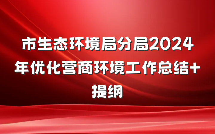 市生态环境局分局2024年优化营商环境工作总结 提纲
