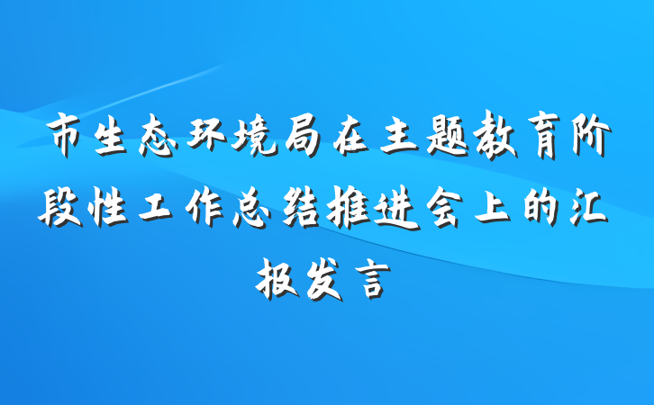 市生态环境局在主题教育阶段性工作总结推进会上的汇报发言